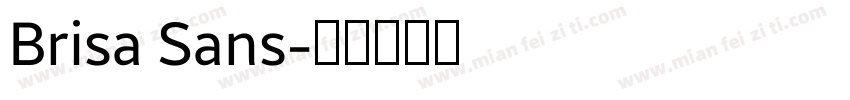 Brisa Sans字体转换
